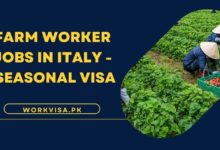 Farm Worker Jobs in Italy - Seasonal Visa