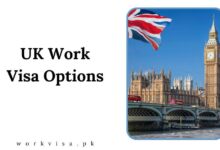 UK Work Visa Options