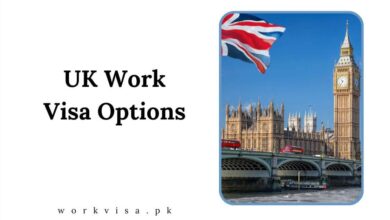 UK Work Visa Options