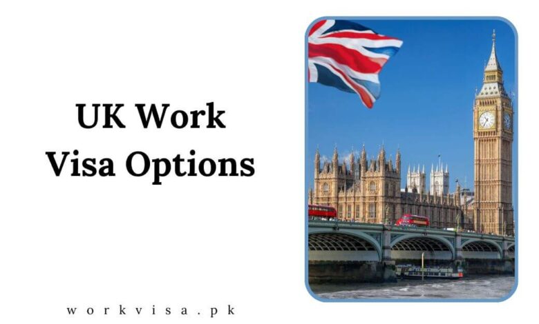 UK Work Visa Options