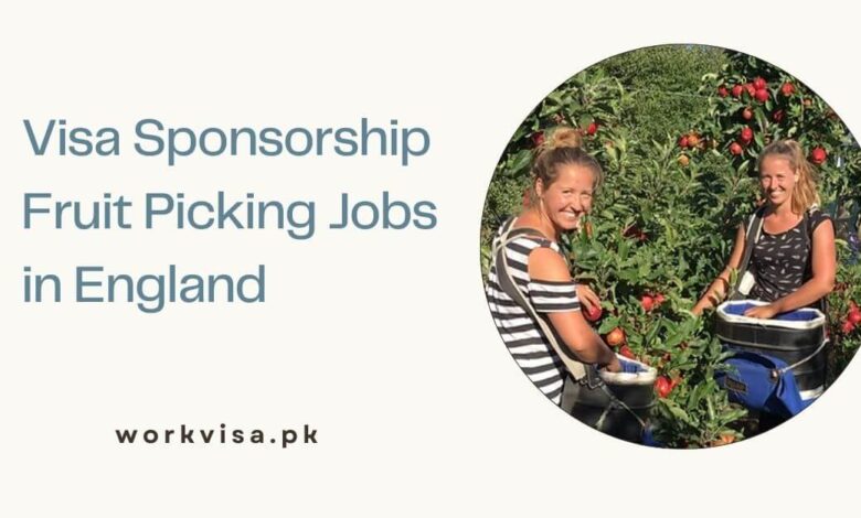 Visa Sponsorship Fruit Picking Jobs in England