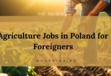 Agriculture Jobs in Poland for Foreigners