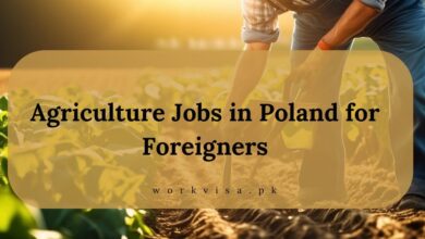 Agriculture Jobs in Poland for Foreigners