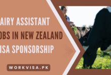 Dairy Assistant Jobs in New Zealand - Visa Sponsorship