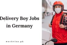 Delivery Boy Jobs in Germany