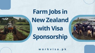 Farm Jobs in New Zealand with Visa Sponsorship