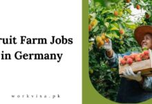Fruit Farm Jobs in Germany