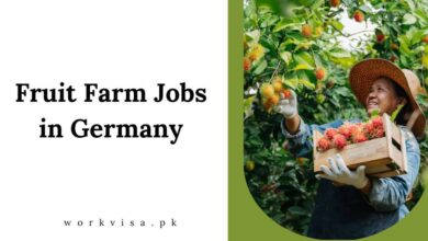 Fruit Farm Jobs in Germany