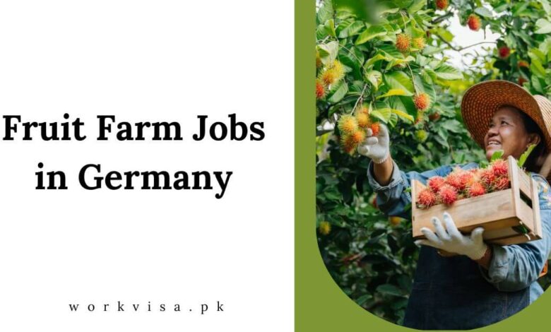 Fruit Farm Jobs in Germany