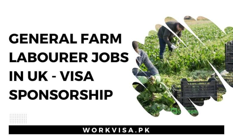 General Farm Labourer Jobs in UK - Visa Sponsorship