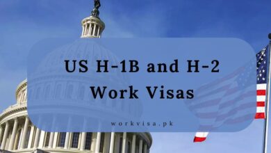 US H-1B and H-2 Work Visas