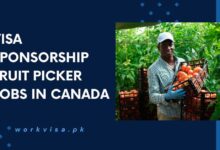 Visa Sponsorship Fruit Picker Jobs in Canada