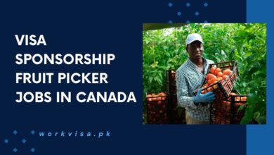 Visa Sponsorship Fruit Picker Jobs in Canada