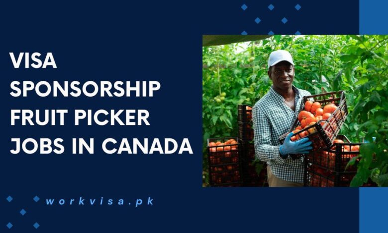 Visa Sponsorship Fruit Picker Jobs in Canada