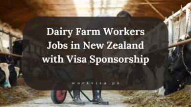 Dairy Farm Workers Jobs in New Zealand with Visa Sponsorship