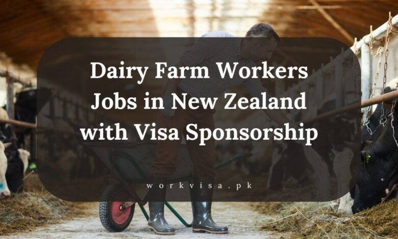 Dairy Farm Workers Jobs in New Zealand with Visa Sponsorship