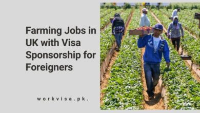 Farming Jobs in UK with Visa Sponsorship for Foreigners