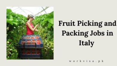 Fruit Picking and Packing Jobs in Italy