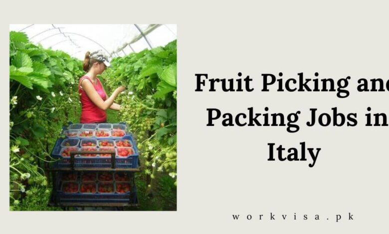 Fruit Picking and Packing Jobs in Italy