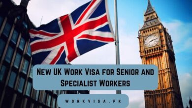 New UK Work Visa for Senior and Specialist Workers