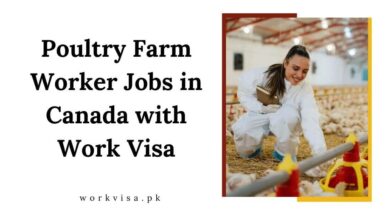 Poultry Farm Worker Jobs in Canada with Work Visa