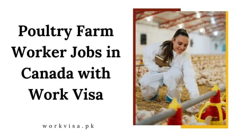 Poultry Farm Worker Jobs in Canada with Work Visa