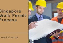 Singapore Work Permit Process