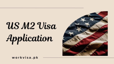 US M2 Visa Application