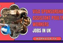 Visa Sponsorship Assistant Poultry Workers Jobs in UK