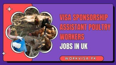 Visa Sponsorship Assistant Poultry Workers Jobs in UK