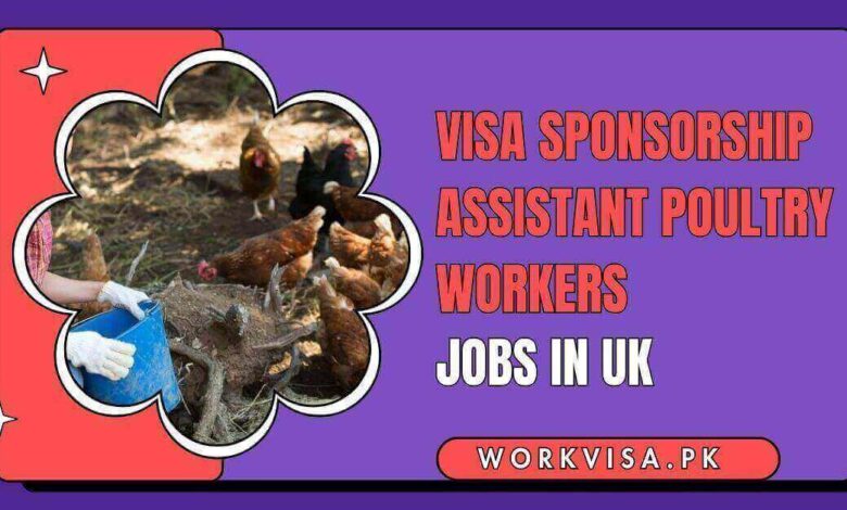 Visa Sponsorship Assistant Poultry Workers Jobs in UK