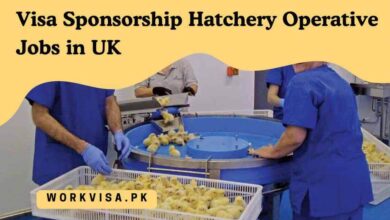 Visa Sponsorship Hatchery Operative Jobs in UK