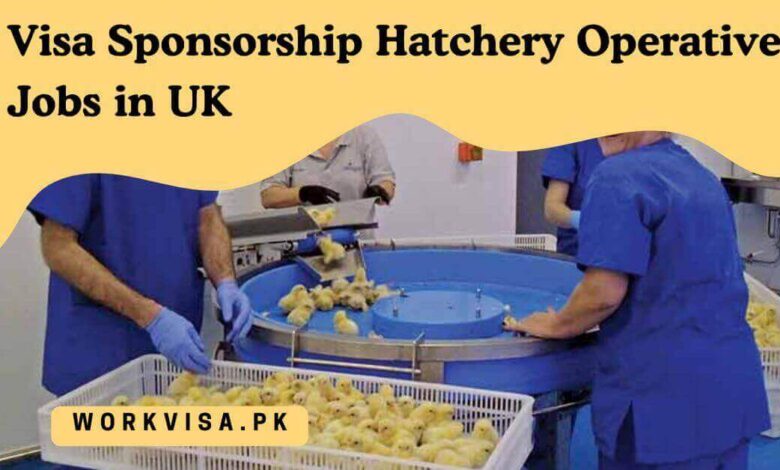 Visa Sponsorship Hatchery Operative Jobs in UK