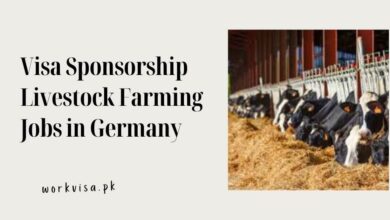 Visa Sponsorship Livestock Farming Jobs in Germany