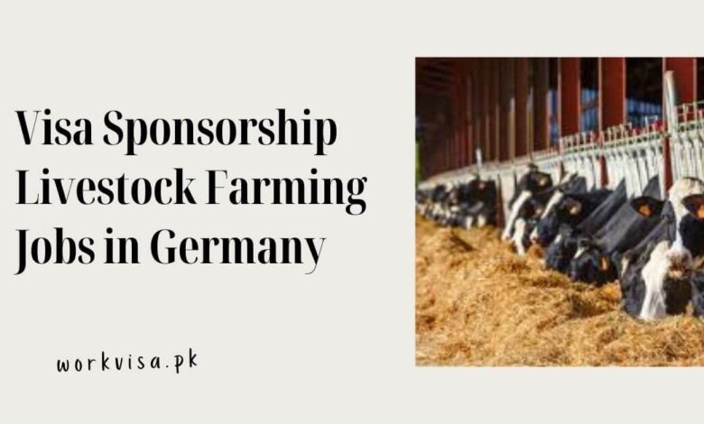 Visa Sponsorship Livestock Farming Jobs in Germany