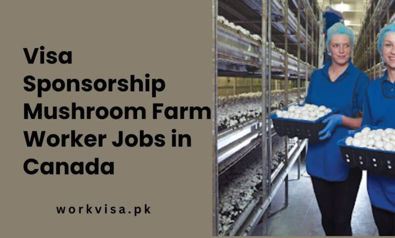 Visa Sponsorship Mushroom Farm Worker Jobs in Canada