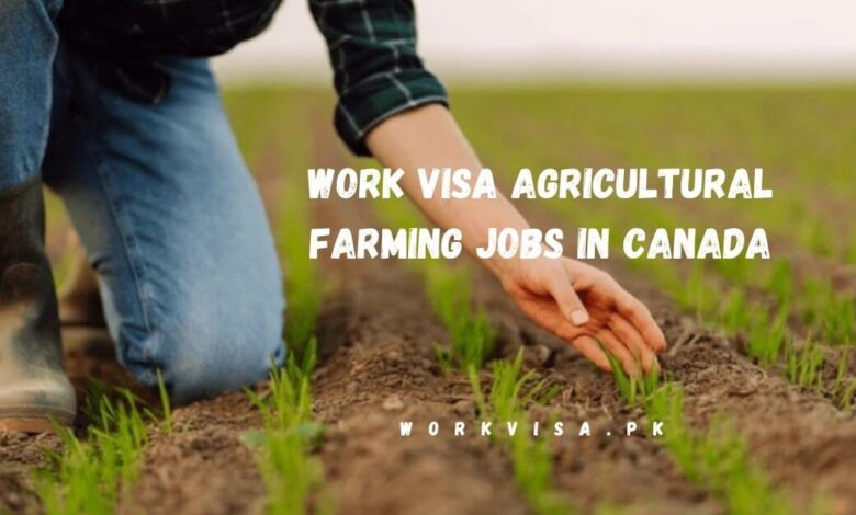 Work Visa Agricultural Farming Jobs in Canada