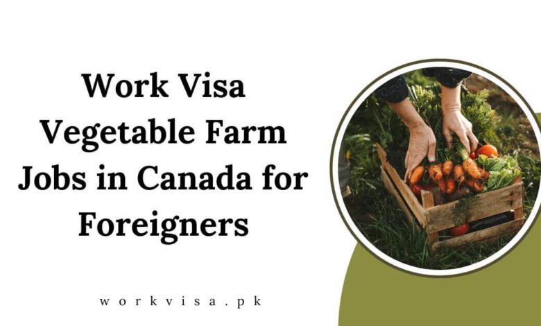 Work Visa Vegetable Farm Jobs in Canada for Foreigners