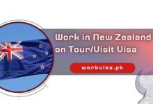 Work in New Zealand on TourVisit Visa