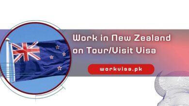 Work in New Zealand on TourVisit Visa