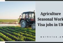 Agriculture Seasonal Work Visa jobs in UK