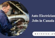 Auto Electrician Jobs in Canada