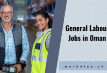 General Labour Jobs in Oman