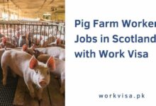 Pig Farm Worker Jobs in Scotland with Work Visa