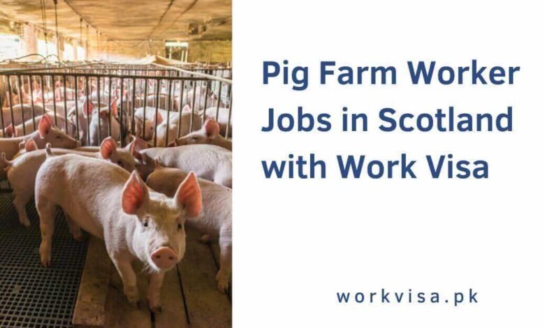 Pig Farm Worker Jobs in Scotland with Work Visa