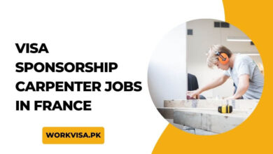 Visa Sponsorship Carpenter Jobs in France