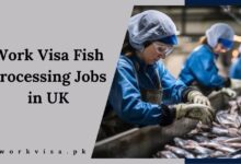 Work Visa Fish Processing Jobs in UK