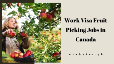 Work Visa Fruit Picking Jobs in Canada