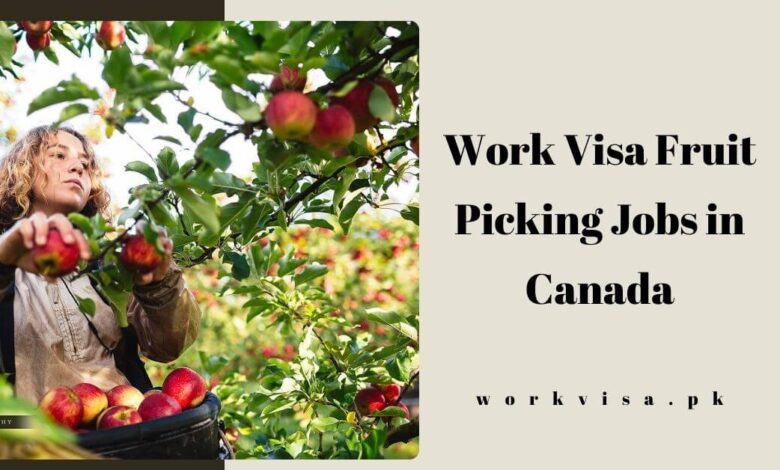 Work Visa Fruit Picking Jobs in Canada