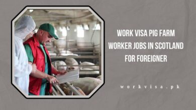 Work Visa Pig Farm Worker jobs in Scotland for Foreigner